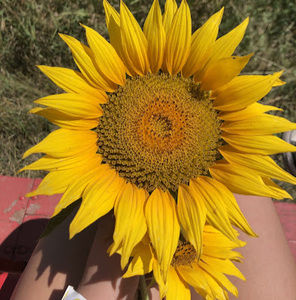 Meet your Posher, Victoria